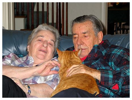 2004 - Cats are always good.jpg